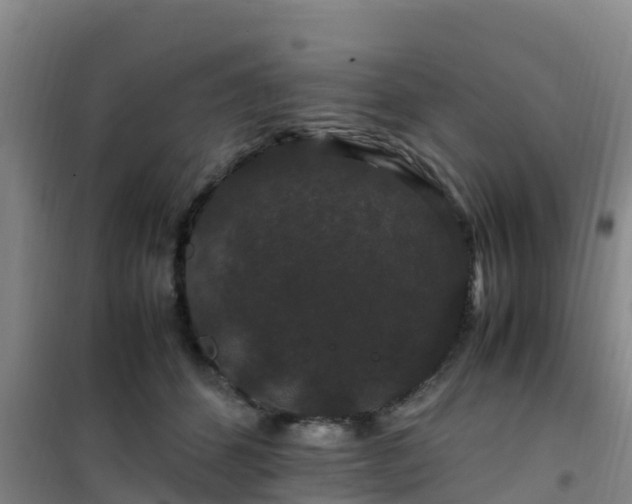 X0000101100512200807031754