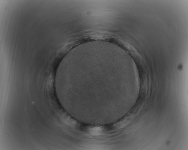 X0000101100513200807031754
