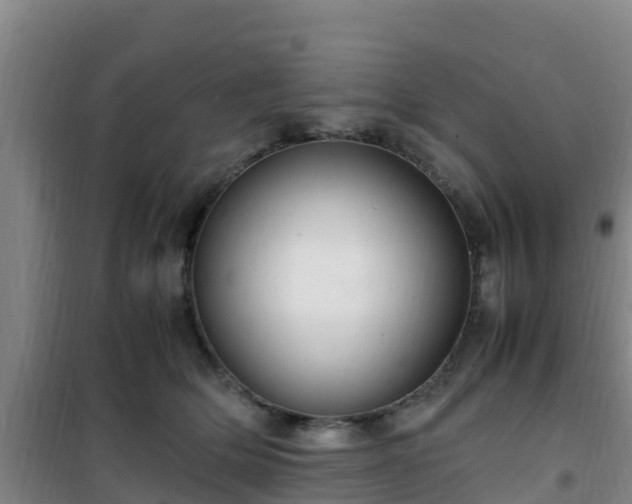X0000101100514200807031753