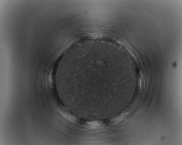 X0000101100516200807031753