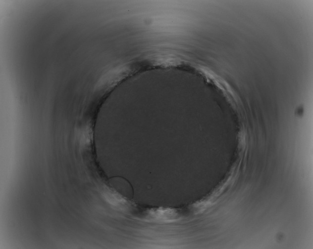 X0000101100517200807031753