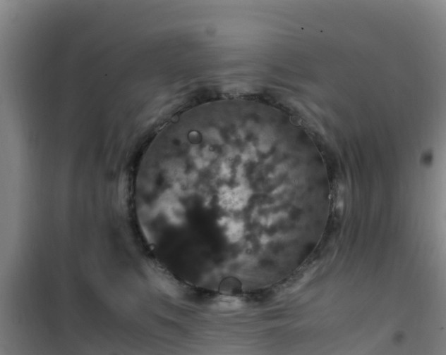 X0000101100519200807031753