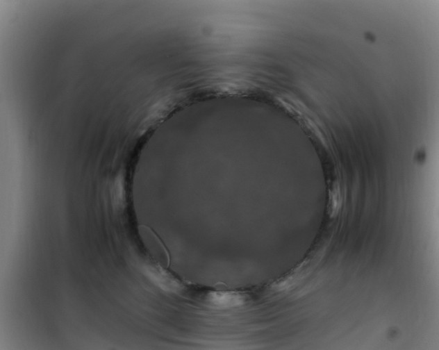 X0000101100520200807031753