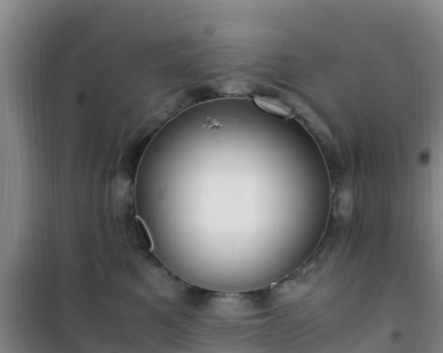 X0000101100521200807031753