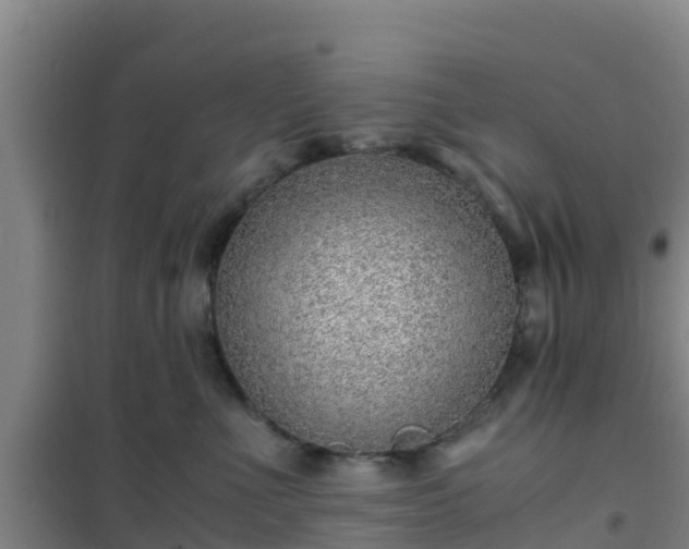 X0000101100523200807031753