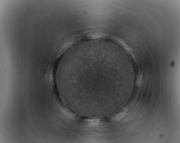 X0000101100524200807031753