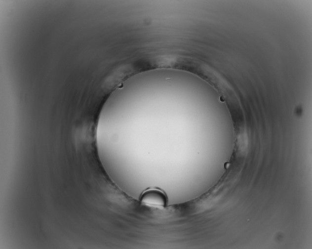 X0000101100525200807031753