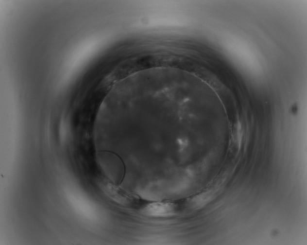 X0000101100526200807031753