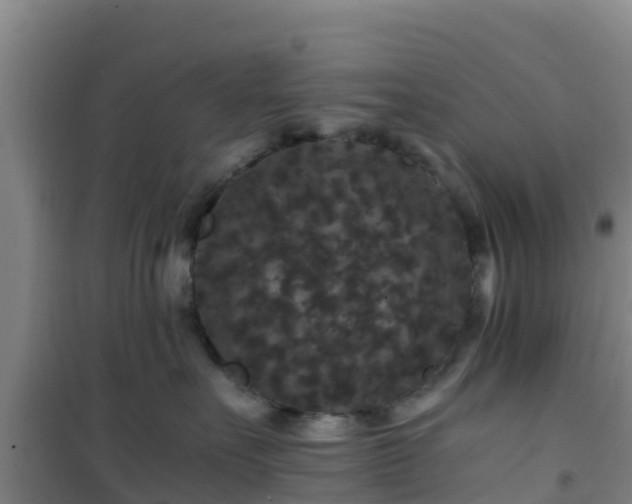 X0000101100527200807031753