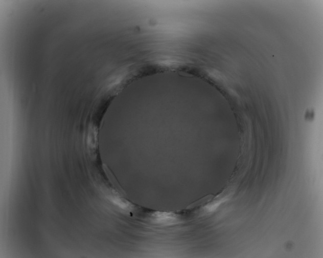 X0000101100528200807031753