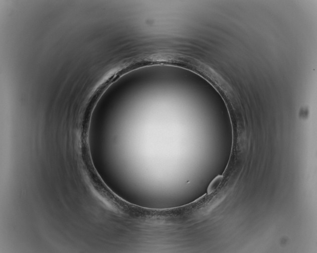 X0000101100530200807031753