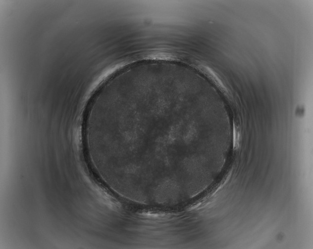 X0000101100531200807031753