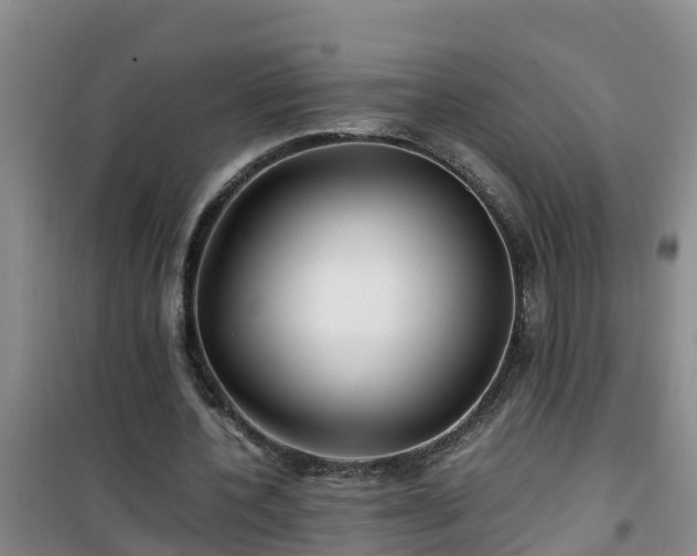 X0000101100532200807031753