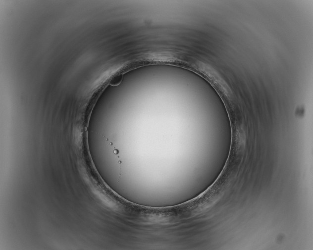 X0000101100533200807031753
