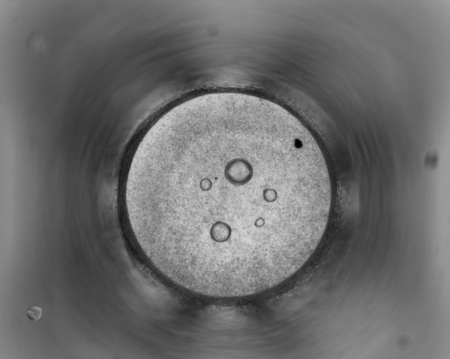 X0000101100534200807031753