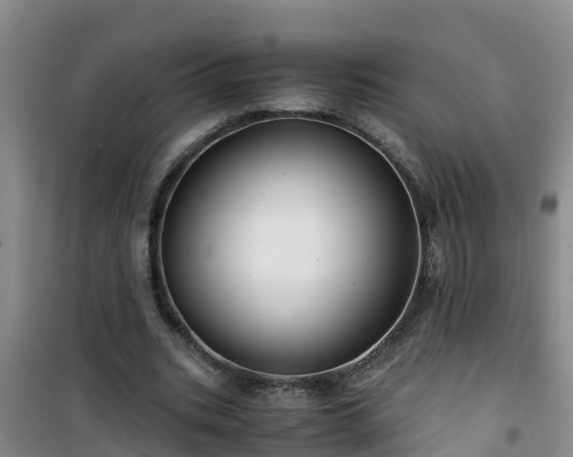 X0000101100535200807031753