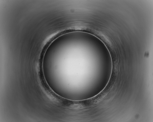 X0000101100536200807031753