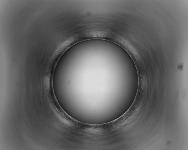 X0000101100537200807031753