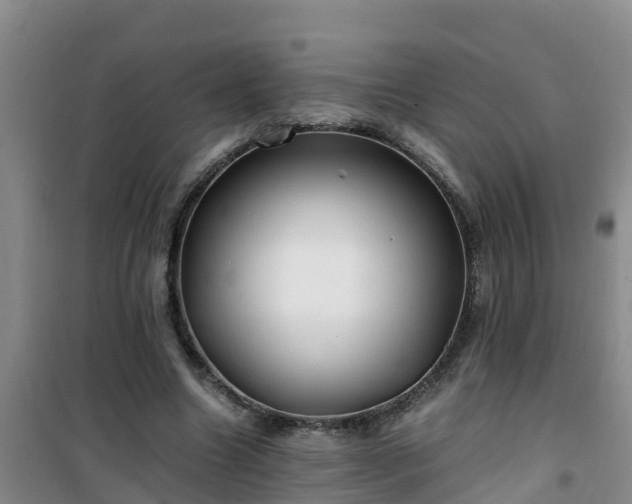 X0000101100538200807031753