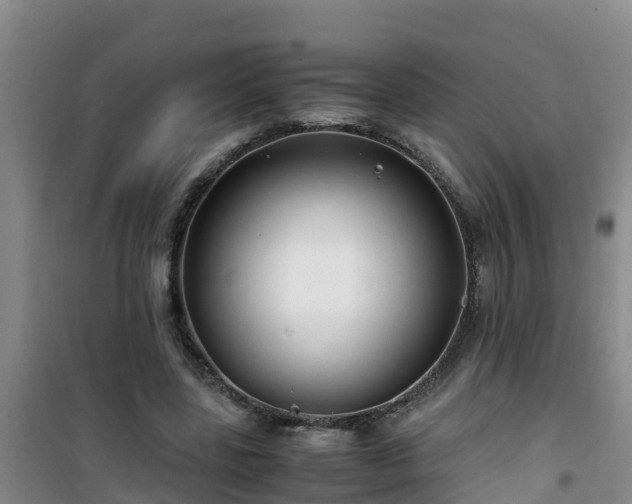 X0000101100539200807031753