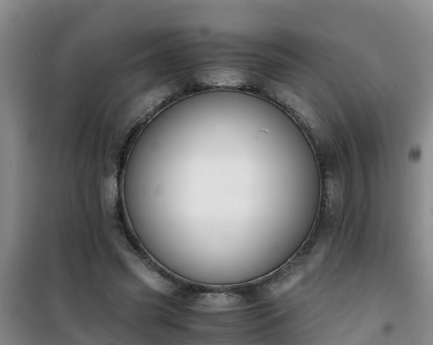 X0000101100541200807031753