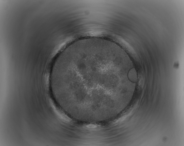 X0000101100542200807031753