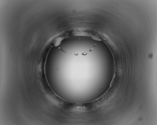 X0000101100543200807031753