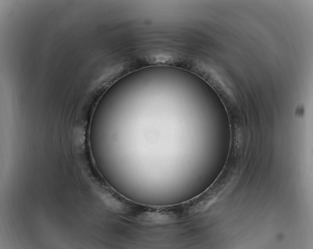 X0000101100545200807031753