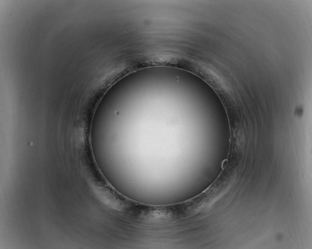 X0000101100546200807031753