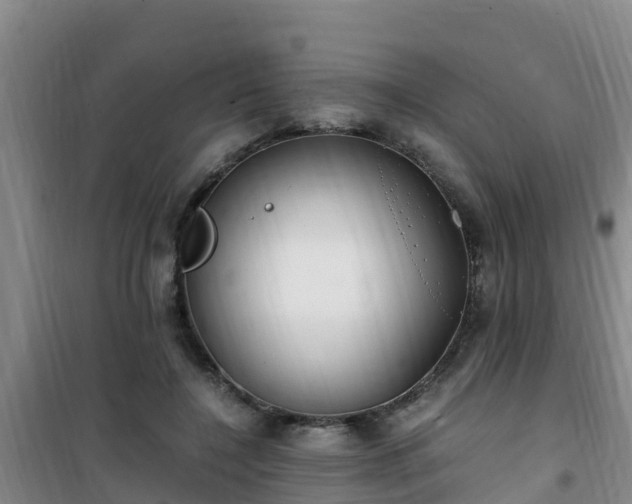 X0000101100548200807031753