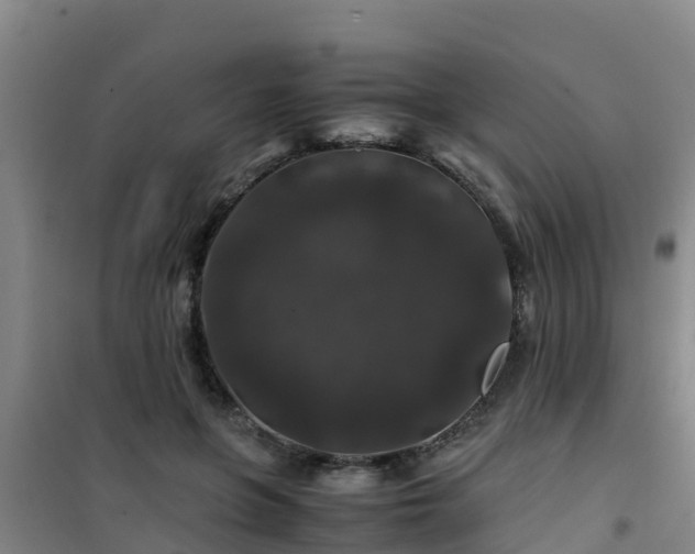 X0000101100551200807031753
