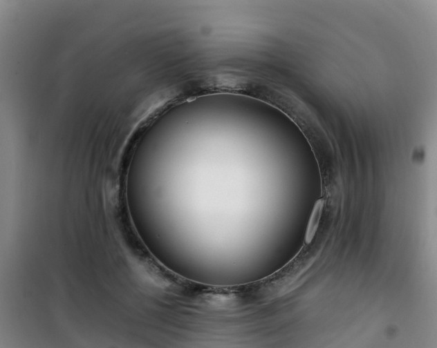 X0000101100552200807031753