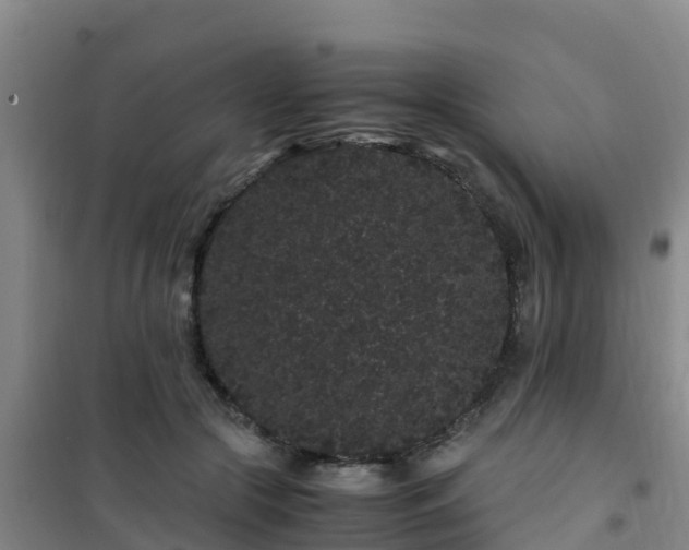 X0000101100553200807031753