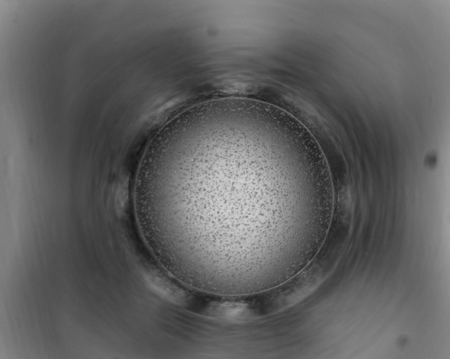 X0000101100554200807031753