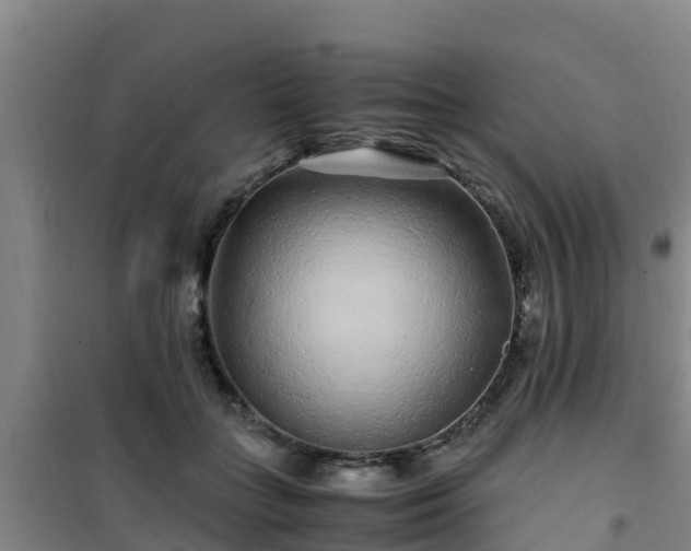 X0000101100555200807031753