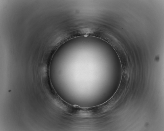 X0000101100556200807031753