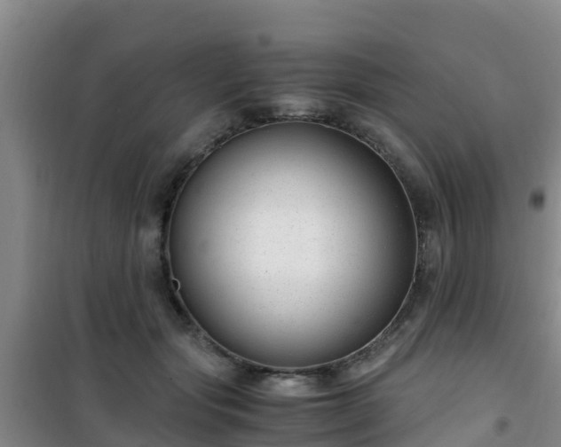 X0000101100557200807031753