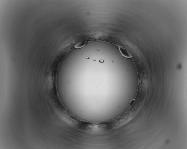 X0000101100558200807031753