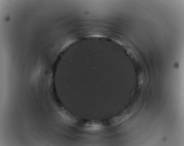 X0000101100559200807031753