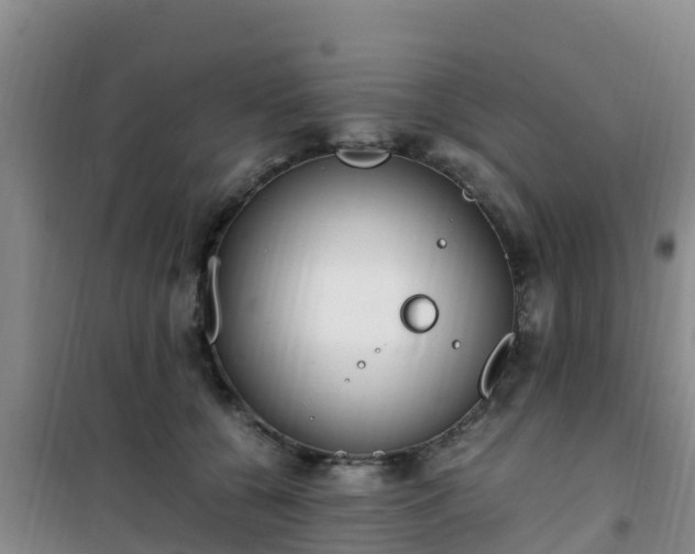 X0000101100560200807031753