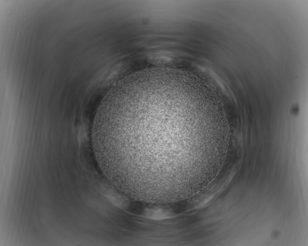 X0000101100561200807031753