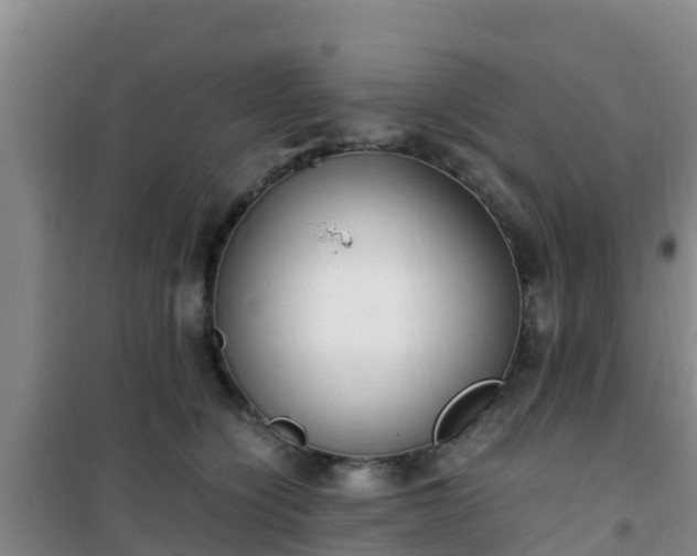 X0000101100564200807031753