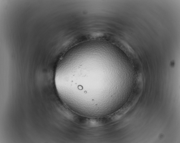 X0000101100565200807031753