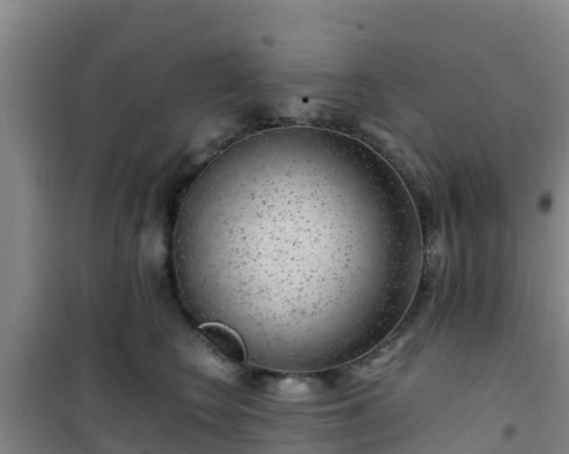X0000101100566200807031753