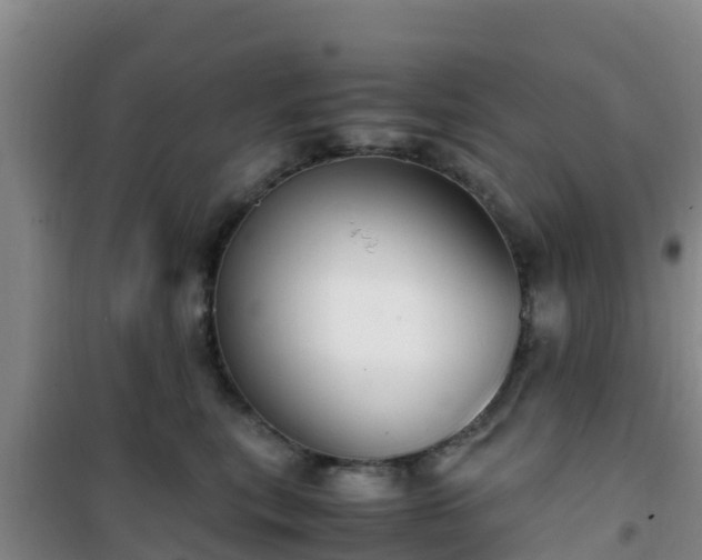 X0000101100567200807031753