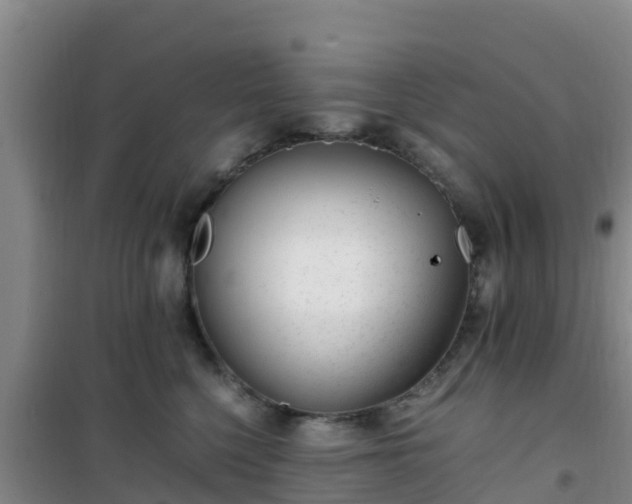 X0000101100568200807031753