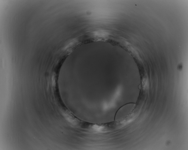 X0000101100570200807031753
