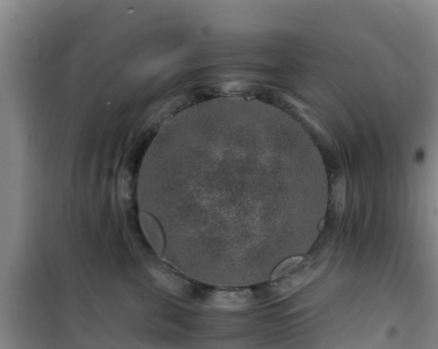 X0000101100571200807031753