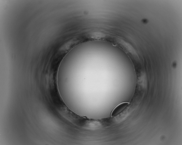 X0000101100572200807031753