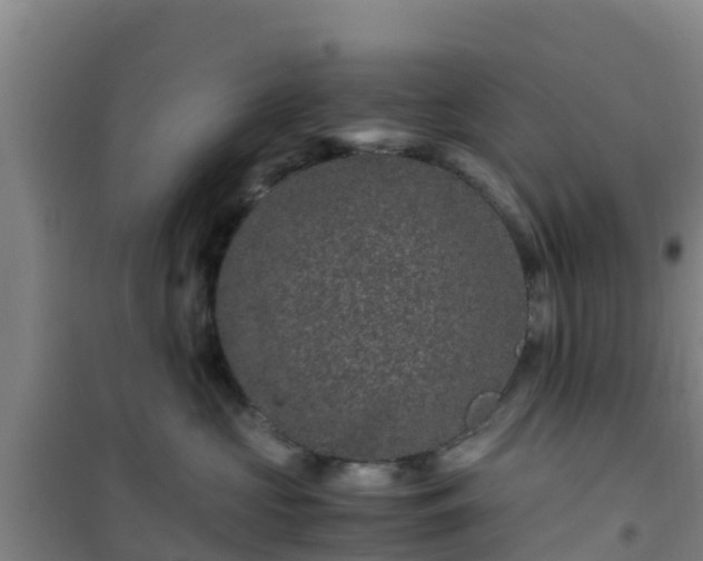 X0000101100573200807031753